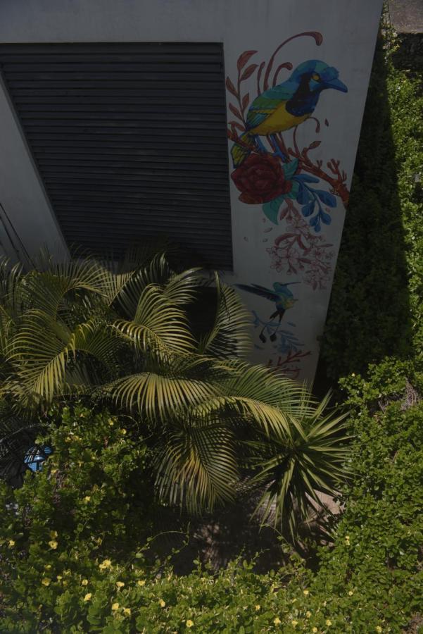 Appartamento Departamentos Internazionale Mérida Esterno foto